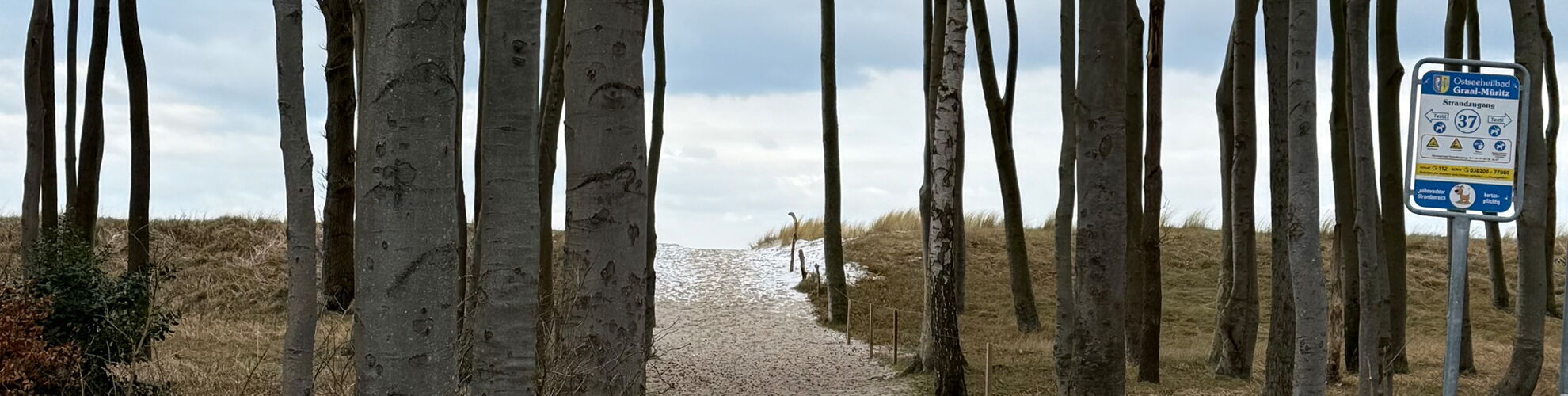 Wohnzimmer mit Sofa im Ferienhaus Graalibu in Graal-Müritz